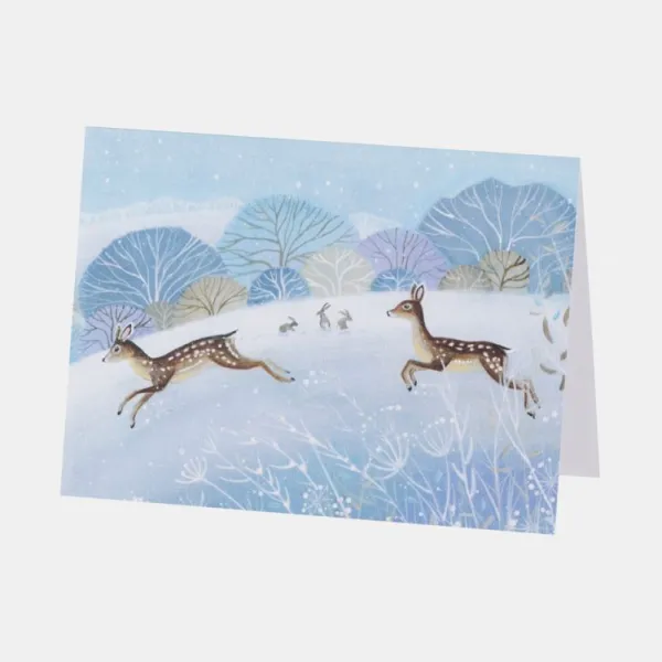 National Trust Illustrated 30 Christmas Cards Value Pack Outlet