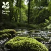 National Trust Lydford Gorge Guidebook Clearance