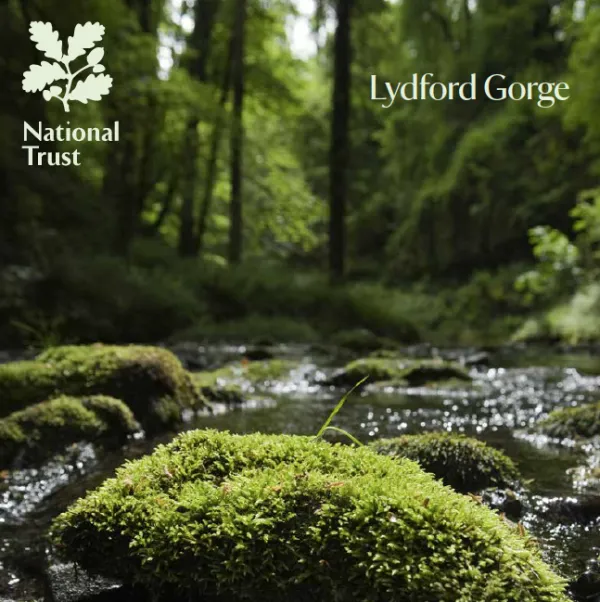 National Trust Lydford Gorge Guidebook Clearance