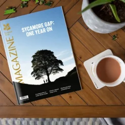 National Trust Magazine, Autumn 2024 Best
