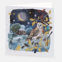 National Trust Moonlit Owl Christmas Card Box of 10 Sale