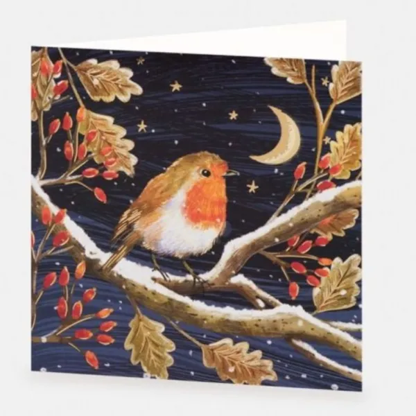 National Trust Moonlit Robin Christmas Cards Box of 10 Outlet
