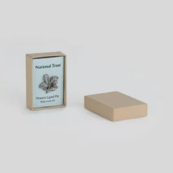 National Trust Oak Leaf Pin Badge New