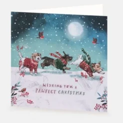 National Trust Pawfect Christmas Cards Box of 10 Sale