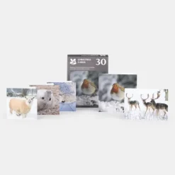 National Trust Photographic Christmas Cards Value Pack, Box of 30 Discount