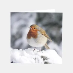 National Trust Photographic Christmas Cards Value Pack, Box of 30 Discount