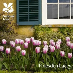 National Trust Polesden Lacey Guidebook Clearance