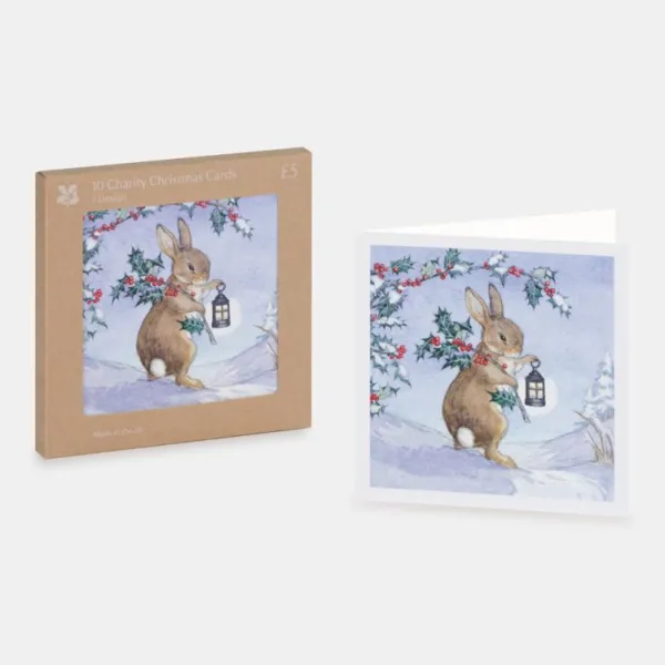 National Trust Rabbit and Lantern Christmas Card Box of 10 Clearance