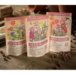 National Trust Seed Balls Nymans Mix Online
