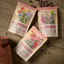 National Trust Seed Balls Sizergh Mix Clearance