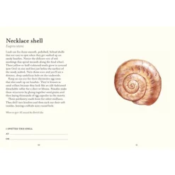 National Trust Shell Spotters Guide Clearance