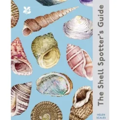 National Trust Shell Spotters Guide Clearance
