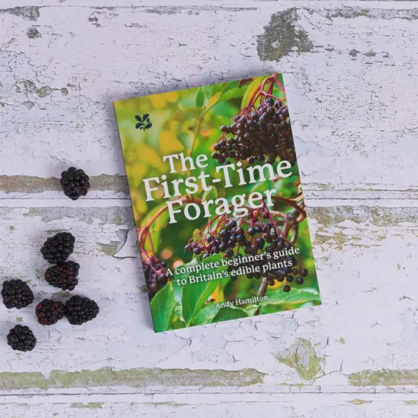 National Trust The First Time Forager Clearance