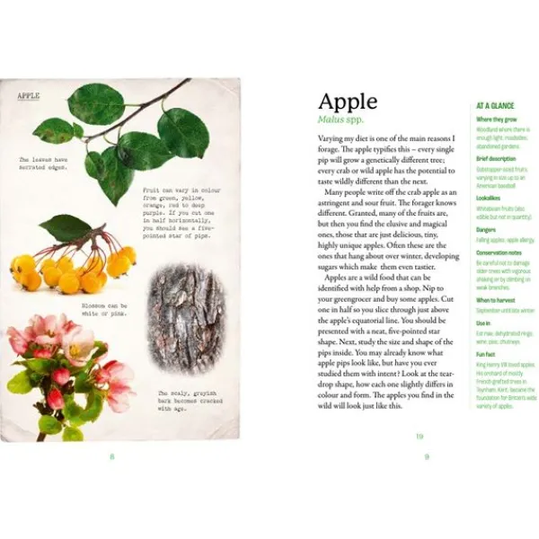 National Trust The First Time Forager Clearance