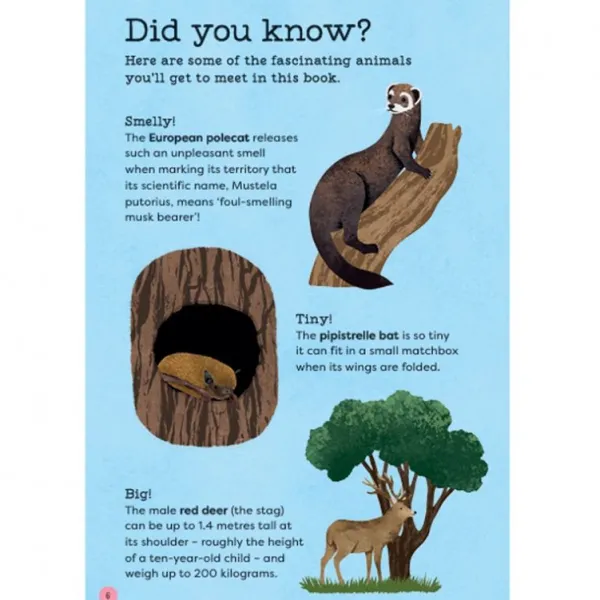 National Trust Out and About Animal Spotter Discount