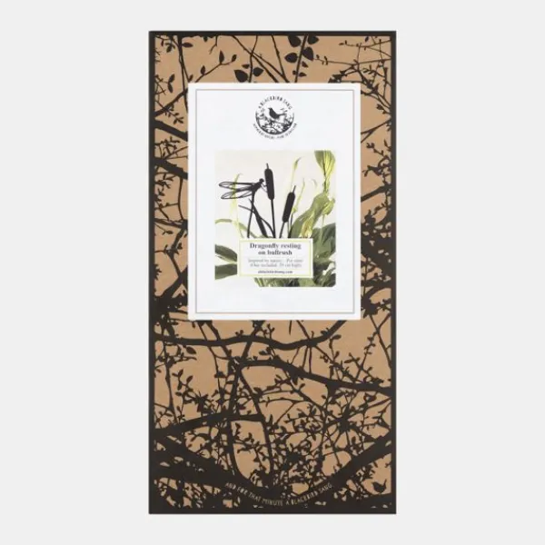 National Trust Pot Stem, Dragonfly on Rushes Clearance