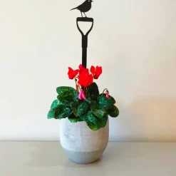 National Trust Pot Stem, Robin on a Fork Clearance