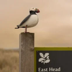 National Trust Recycled Puffin Sculpture Best