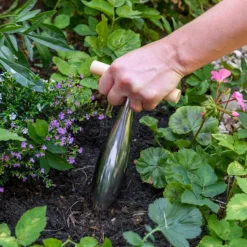 National Trust RHS Stainless Steel Dibber Clearance
