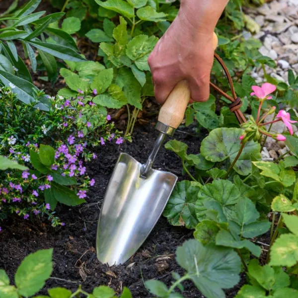 National Trust RHS Stainless Steel Hand Trowel Hot