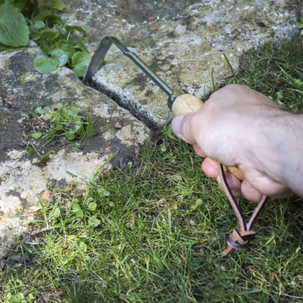 National Trust RHS Stainless Steel Weeding Finger Best