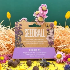 National Trust Seedball Butterfly Mix Online