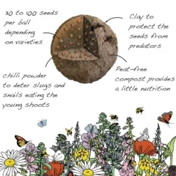 National Trust Seedball Wildlife Mix Grab Bag Best