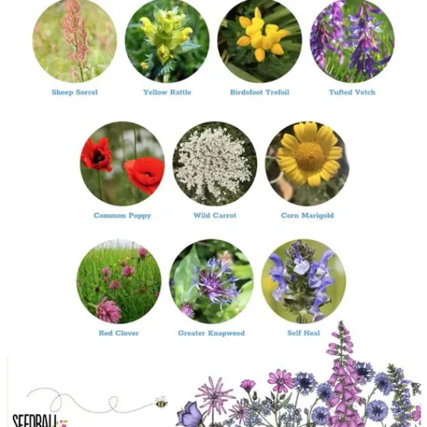 National Trust Seedball Wildlife Mix Grab Bag Best