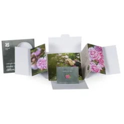 National Trust Small Wonder Gift Pack, Garden Roses Hot