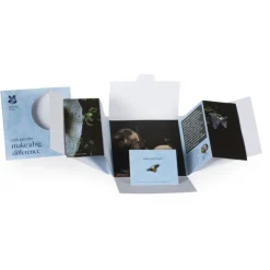 National Trust Small Wonder Gift Pack, Long-Eared Bat Outlet