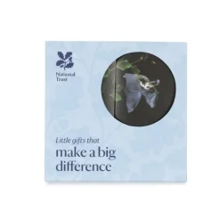 National Trust Small Wonder Gift Pack, Long-Eared Bat Outlet