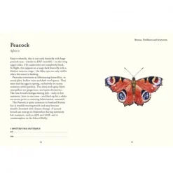 National Trust The Butterfly Spotter's Guide New