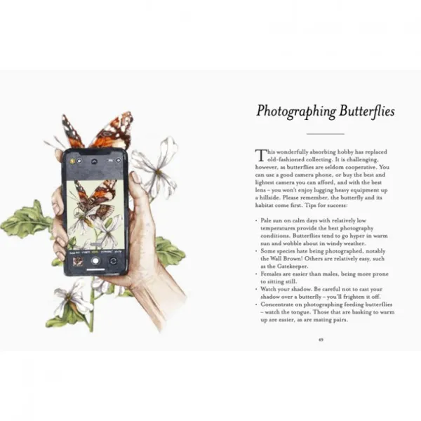 National Trust The Butterfly Spotter's Guide New