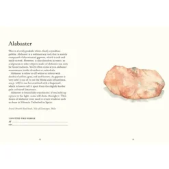 National Trust The Pebble Spotter's Guide Sale