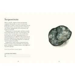 National Trust The Pebble Spotter's Guide Sale