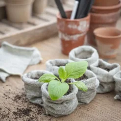 National Trust Wool Pots, Pack of 10 Hot
