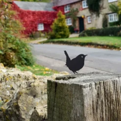 National Trust Wren Silhouette Fence Topper New
